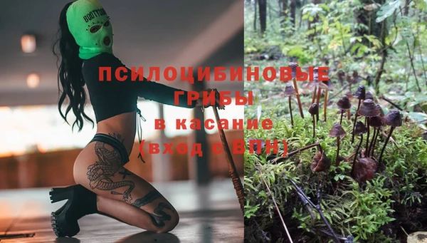спиды Алзамай