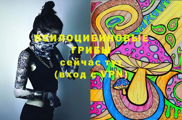 кокаин премиум Алексеевка